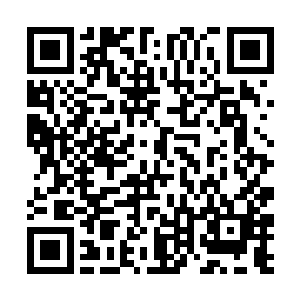 他以为自己的实力在短时间内从十翼提升到了十六翼二维码生成