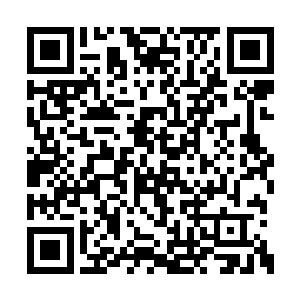 他以为苏林和墨呈就算是千年难得一见的奇才了二维码生成