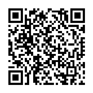 他以前就经常幻想着自己可以击败火帝和佣兵之祖二维码生成