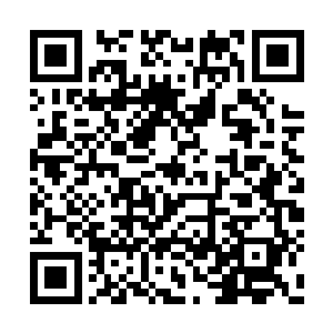 他们一年级的主任导师让那位同学代为转告一声二维码生成