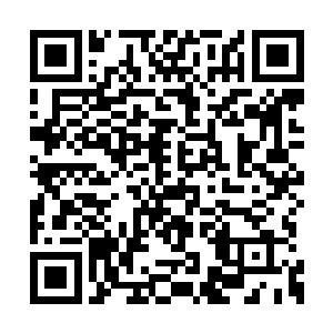 他们一点一点清理着山谷附近的魔物和魔化巫师二维码生成