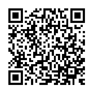 他们七大势力举派之力都难以拿出两件七十二重禁制的法宝啊二维码生成
