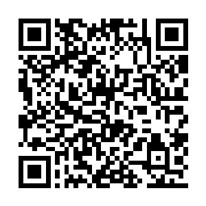 他们上千年所积攒的财富现在全都在夏天的手中二维码生成