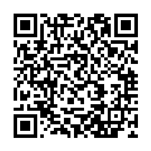 他们上哪儿去再找个白锦曦这样年轻又有冲劲的人才二维码生成