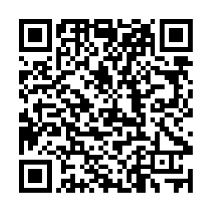 他们不可能在这个时候为了防止标枪而放弃这条小龙二维码生成