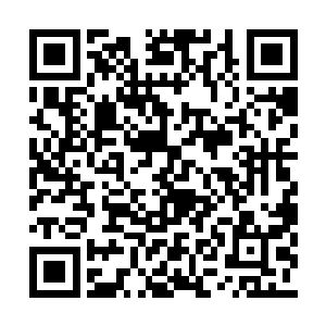 他们不知道张潇晗的身上何以会出现如此的情绪二维码生成