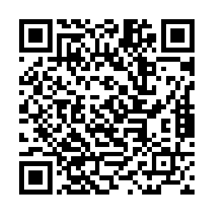 他们不能理解为什么这样的人还有人一心一意去效忠二维码生成