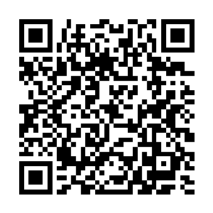 他们两个种族根本就没有那个实力召开这样一个盛会二维码生成