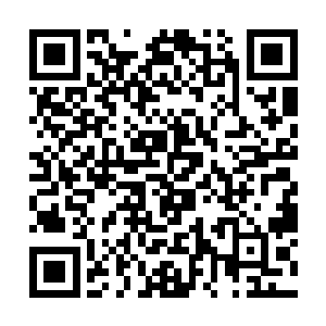 他们两人的出现也是引起了这战台周围所有人的注意二维码生成