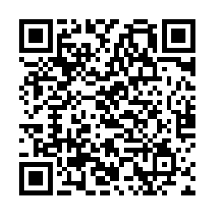 他们中人生的大部分时间都在拼命练习一个又一个动作二维码生成