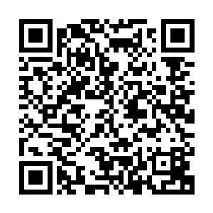 他们为什么要让其他层次的异类杀死自己这些参加天资圣典的人二维码生成