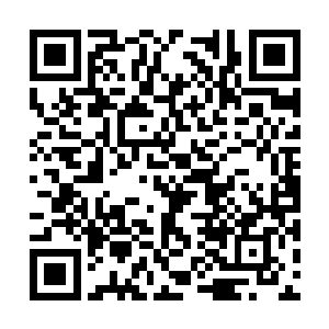 他们也一定会发现同等级的热火界武者比他们更强二维码生成