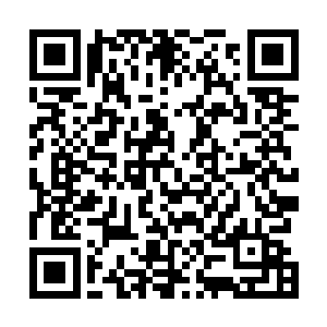 他们也发现自己新换上的衣服其实也并没有什么特别之处二维码生成