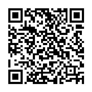 他们也开始怀疑这些凶手是从温哥华跑过来的大圈仔二维码生成