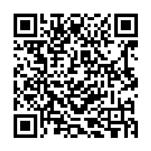 他们也很想看看实力都巨大提升的两人现在会有多少差距二维码生成