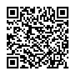 他们也想看一看夏天他们两个这把究竟能不能赢二维码生成