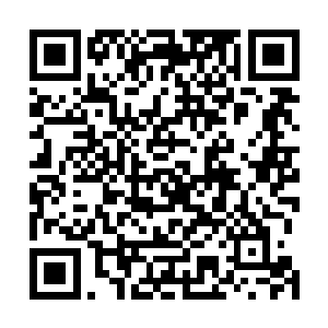 他们也想要看看元婴期的修士是如何在这种情况下逃脱的二维码生成