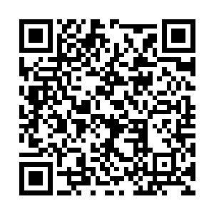 他们也慢慢而小心翼翼的恢复了彼此间最初的关系二维码生成