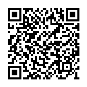 他们也能感受到自己在战斗力上提升的速度很慢二维码生成