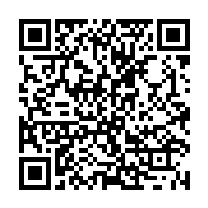 他们也被朱平安用关爱智障人人有责的眼神扫了一遍二维码生成