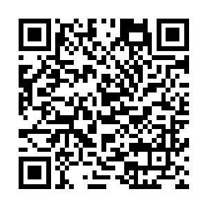 他们也都专门和陆为民通了电话表示只要陆为民有什么需要二维码生成