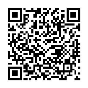 他们二人一早就在设计谋划着让你死在圣弃界的强者手中二维码生成