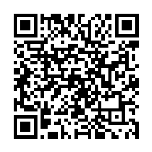 他们二人站在魂葬身边望着被大阵阻挡在外的上官幕儿二维码生成