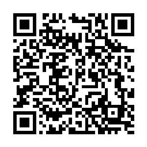 他们亦在数百名观众面前与其他摇滚乐队联手奉献了二维码生成