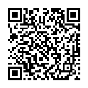 他们亲眼看到了大定的妹妹被活生生吃掉的全部经过二维码生成