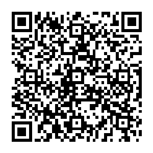 他们仅仅天空圣师甚至是大地圣师的实力竟然让高高在上的剑尘团长亲自出来迎接二维码生成