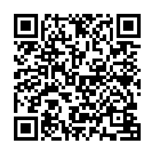 他们仅仅率领数百倭寇就拿下了能排进江南前五的嘉兴城二维码生成