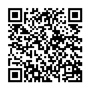 他们从外界吸纳的灵力不仅无法恢复他们消耗的力量二维码生成