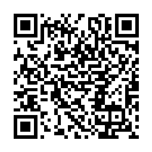 他们从被张潇晗收为灵魂奴仆之后第一次露出笑容二维码生成