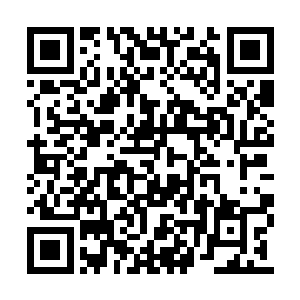 他们从魔鬼大君的脑袋里汲取知识和血脉的力量二维码生成