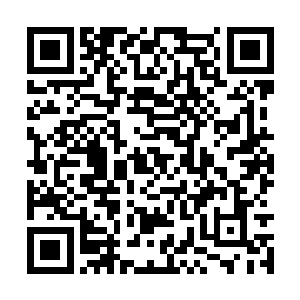 他们众人是躲在千叶屏障之内才能抵挡乱风侵袭的二维码生成
