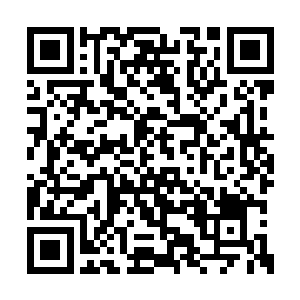 他们会先入为主地认为我们才是能够救他们的人二维码生成