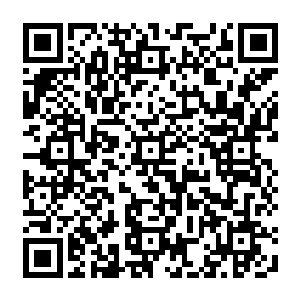 他们会和另外一些来自西方大陆的骑士们一起乘坐太夏提供的飞舟直接返回西方大陆二维码生成