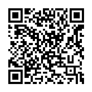 他们会如何报复那些曾经攻击过他们许家的家族二维码生成