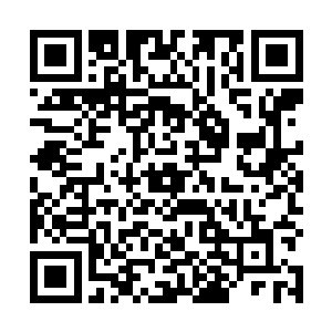 他们会逐渐意识到自己很渺小……渺小得不值一提……二维码生成