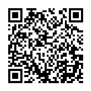 他们似乎已经看到了第四块命运石板在向他们招手二维码生成