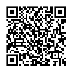 他们便将心中的怒火发泄到了红河公司的大门口二维码生成