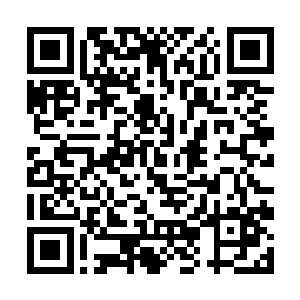 他们倒是对城市里那带电梯的高楼充满了羡慕和向往二维码生成