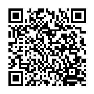 他们做梦也想不到司空无畏竟然会下看不顺眼就杀的法旨二维码生成