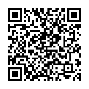 他们先前一直认为守护神的驱动必须要足够的巫族人鲜血为引二维码生成