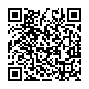他们先打的是麻子他们十几个混混和职高那些学生二维码生成