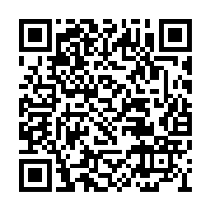 他们全都能混到上层社会去人模狗样的体面活着二维码生成