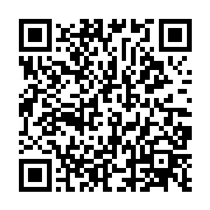 他们冷着脸子的世子爷怀里竟像是揣了只淘气的小野猫二维码生成