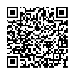 他们几个人根本就没有丝毫防备的就把自己的命二维码生成