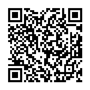 他们几个还是小心翼翼的盯着秦方肩膀上的七星铁线蛇二维码生成
