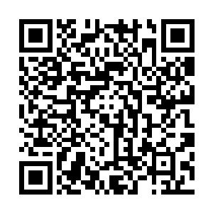 他们出去的打猎的时候有时候会不小心碰到野兽捕猎的场景二维码生成